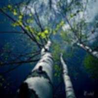 inspirational Quotes